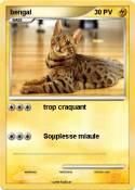 bengal