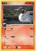 DUCK
