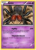 Spider