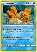 porifera