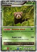 Ferret zmax