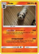 Pirate