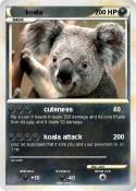koala