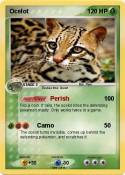 Ocelot