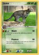 Ocelot