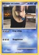 labrador en