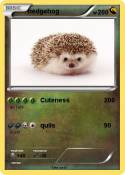 hedgehog
