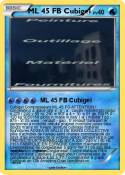 ML 45 FB Cubige