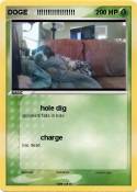 DOGE !!!!!!!!!!