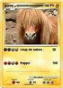 poney