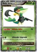 Soild Snivy