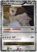 goofy ahh cat