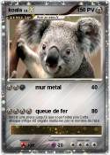 koala