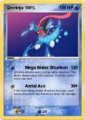 Greninja 100%
