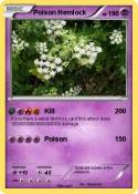 Poison Hemlock