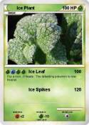 Ice Plant
