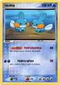 mudkip