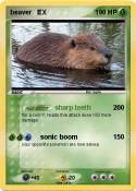 beaver EX