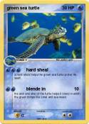 green sea turtl