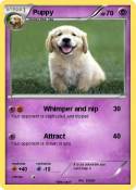 Puppy