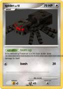 spider