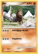 lion