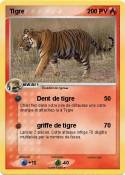 Tigre