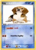 Dog
