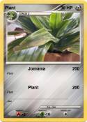 Plant