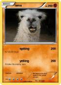 lama