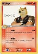 mr. doge