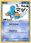 Mudkip