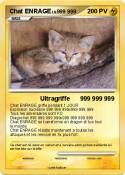 Chat ENRAGE