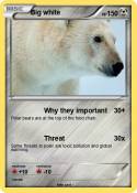 Big white