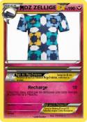DZ ZELLIGE
