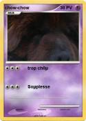 chow-chow