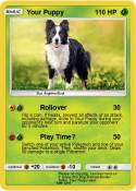 Your Puppy