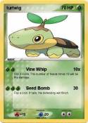 turtwig