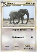 Eléphant