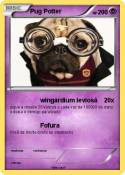 Pug Potter