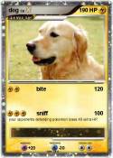 dog