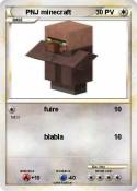 PNJ minecraft