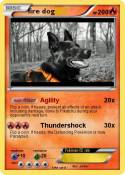 fire dog