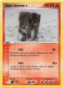 chien ferosse x