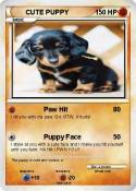 CUTE PUPPY
