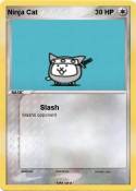 Ninja Cat