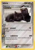 kittens