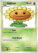Sunflower