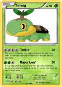 Turtwig