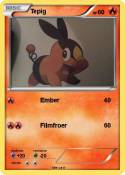 Tepig